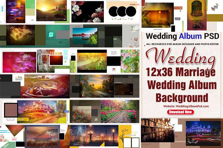 Album Design 12X36 PSD Wedding Background Free Download 2021