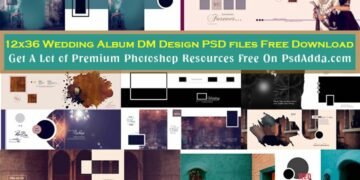 Free 12x36 Wedding Album DM Design PSD files Free Download 2023