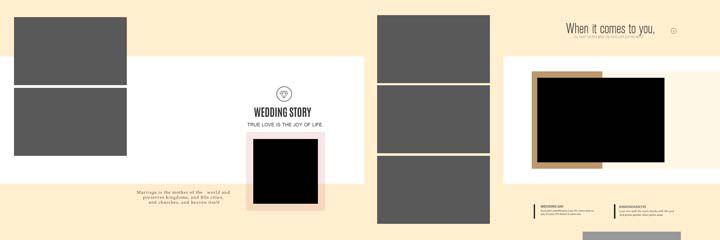 Professional Wedding Album Design Psd 12x36 Free Download 2023