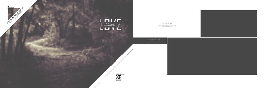 Canvera Album Design 12x36 PSD Free Download VOL 145 