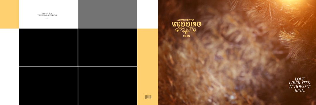 Indian Wedding Album Design 12x36 PSD Free Download 139