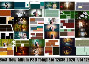 Best New Album PSD Template 12x36 2024 Vol 123