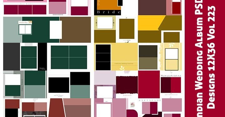 Indian Wedding Album PSD Designs 12X36 Vol 223